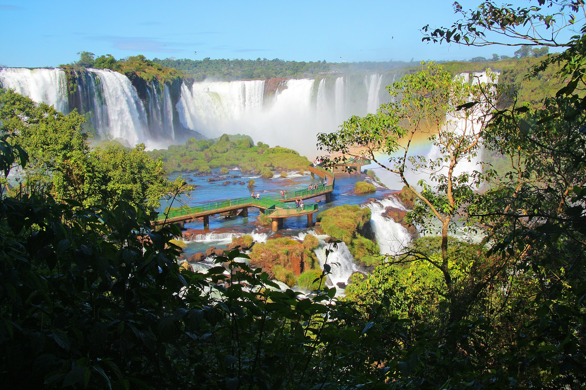 green trees near water falls during daytime